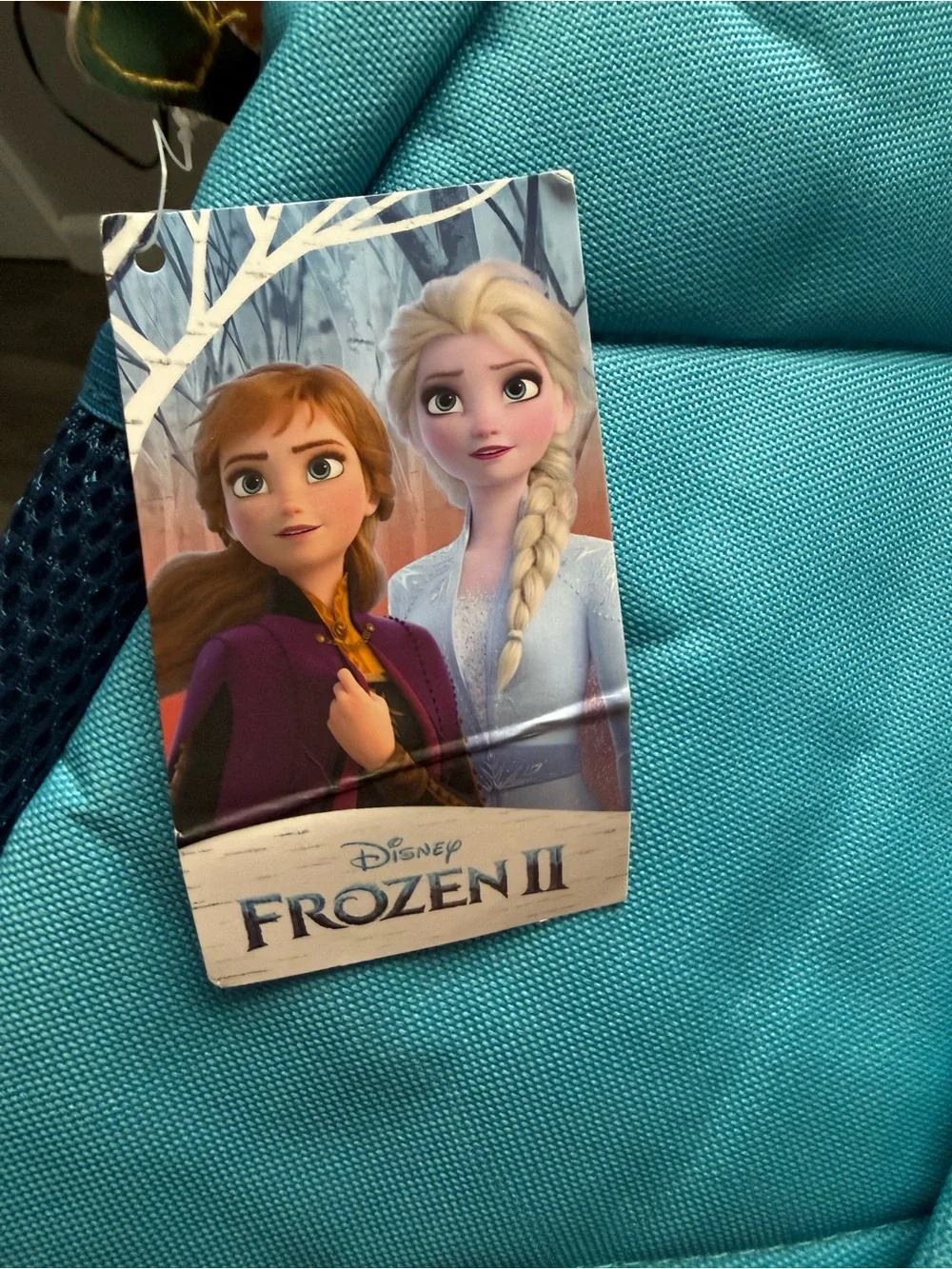 Disney Frozen II Backpack in Aqua Blue with Elsa & Anna Tag